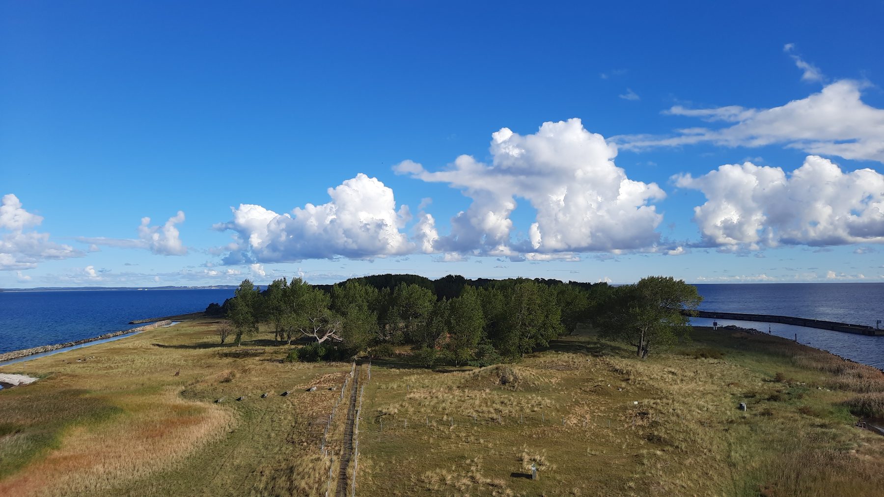 Eine grüne Landzunge mit Bäumen ragt in die Ostsee, darüber Wolken