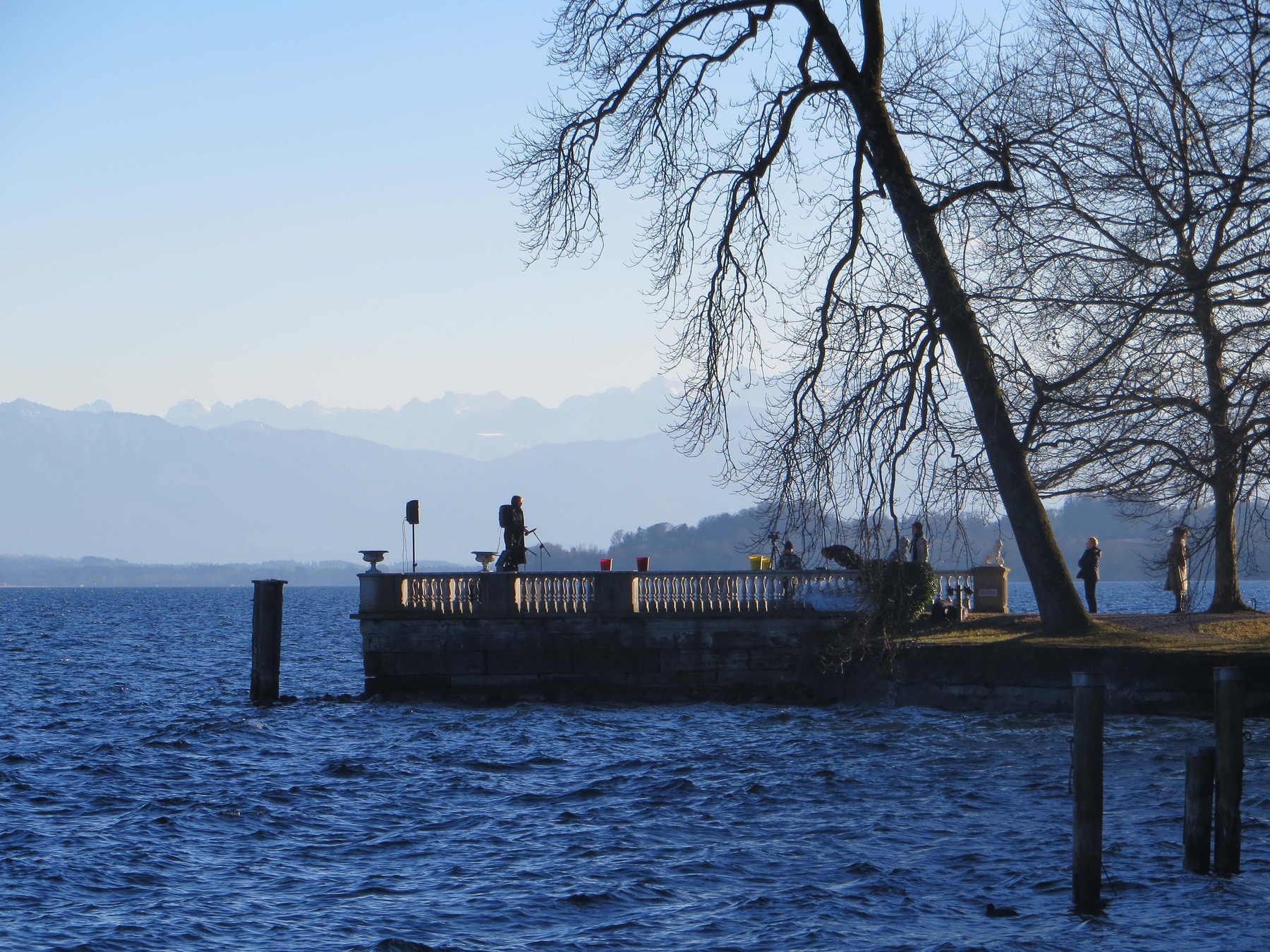 Blick über den winterlichen See mit einem verschneiten Baum am Ufer